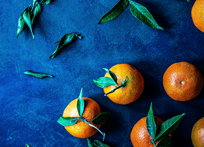 Coach Certification Programs Most Powerful Coach